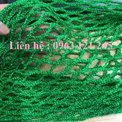 Lưới an toàn công trình (1.5mx50m)
