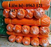 Lưới che chắn HDPE màu cam (1.2mx100m)