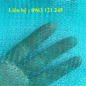 Lưới chống bụi công trình (2x100m)