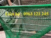 Long Khánh Safety Lưới chống vật rơi công trình (1.2mx50m)
