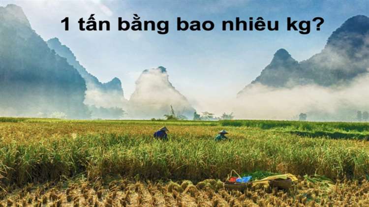 1 tấn bằng bao nhiêu kg